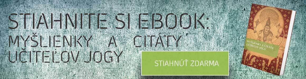 STIAHNITE-SI-EBOOK-BANNER-CITATY-FLEXITY